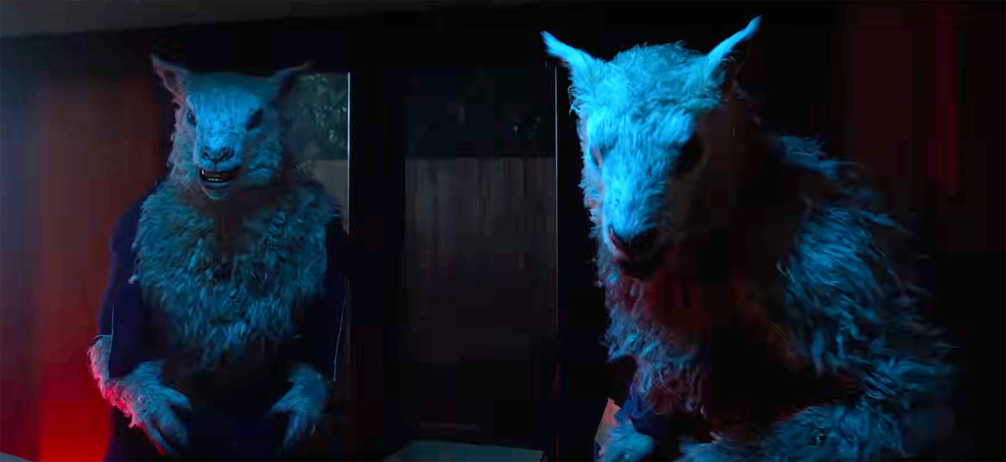 Wild First Trailer for ‘Black Sheeps’ Horror Sequel About Killer Sheep