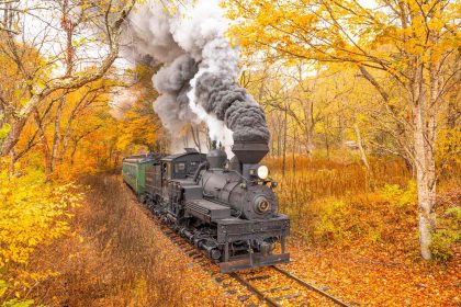 A Ride on This West Virginia Steam Train Offers Some of the Best Fall Foliage Views in the State