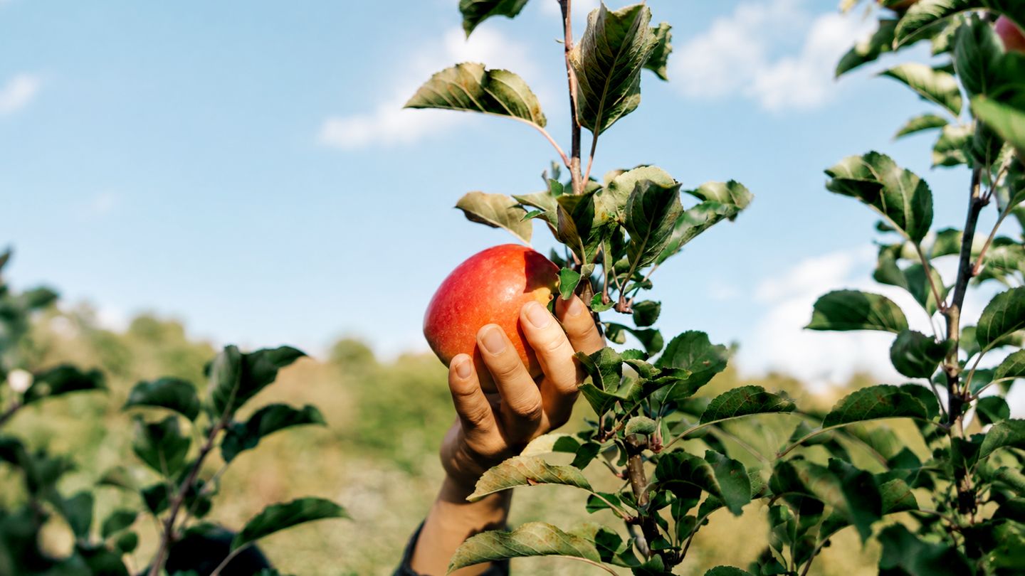 6 Ways to Exercise That Are Perfect for Fall (and Don’t Even Feel Like Workouts)