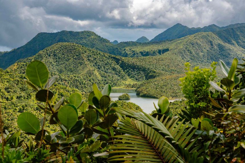 I Never Liked the Caribbean—But This Island With Waterfalls, Hot Springs, and Rainforests Won Me Over