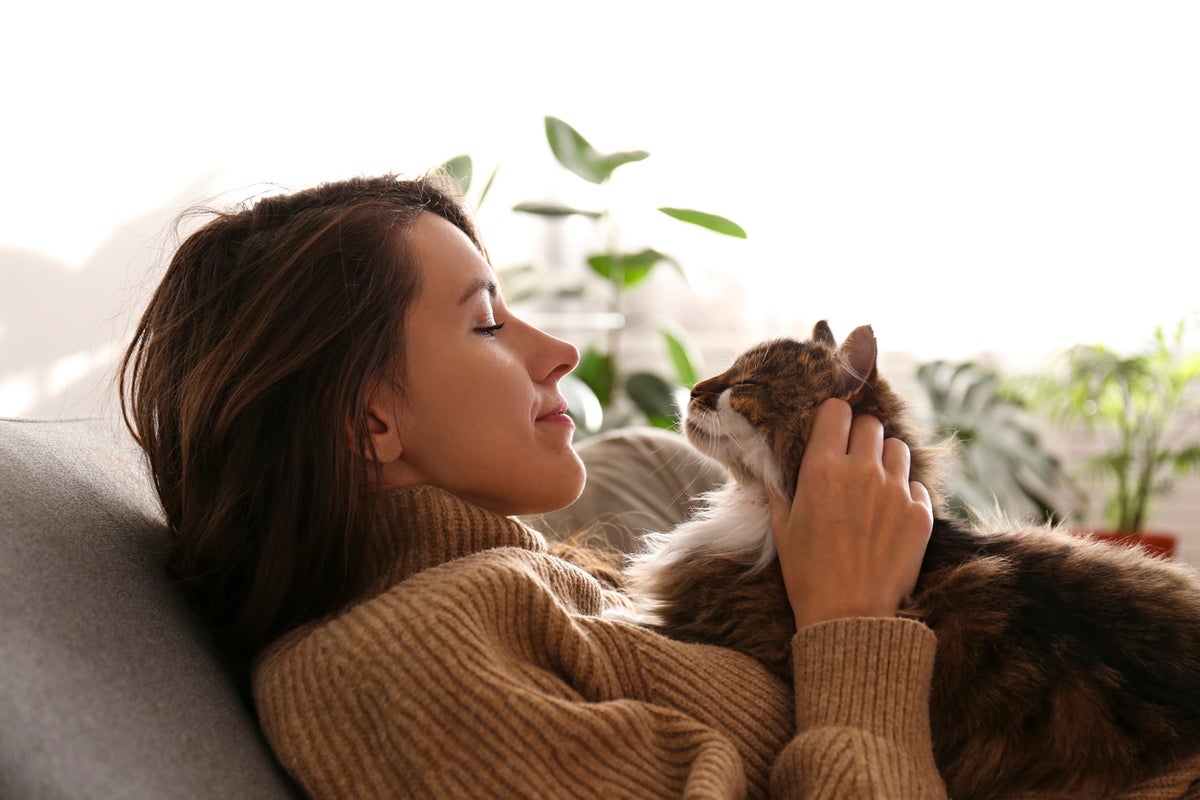 Does my cat love me? Here are four science-backed ways to tell