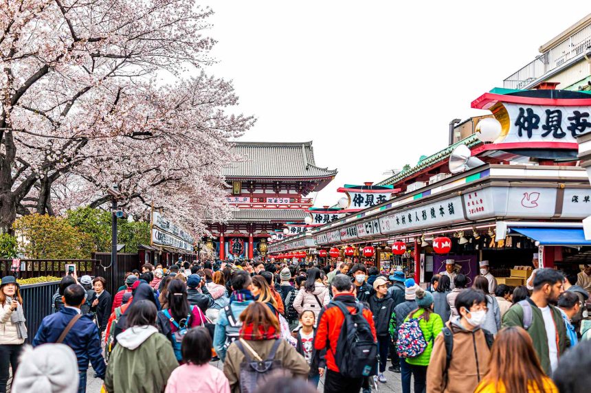 I’ve Lived in Tokyo for Over 20 Years—and This Is the Best Souvenir to Buy in Japan