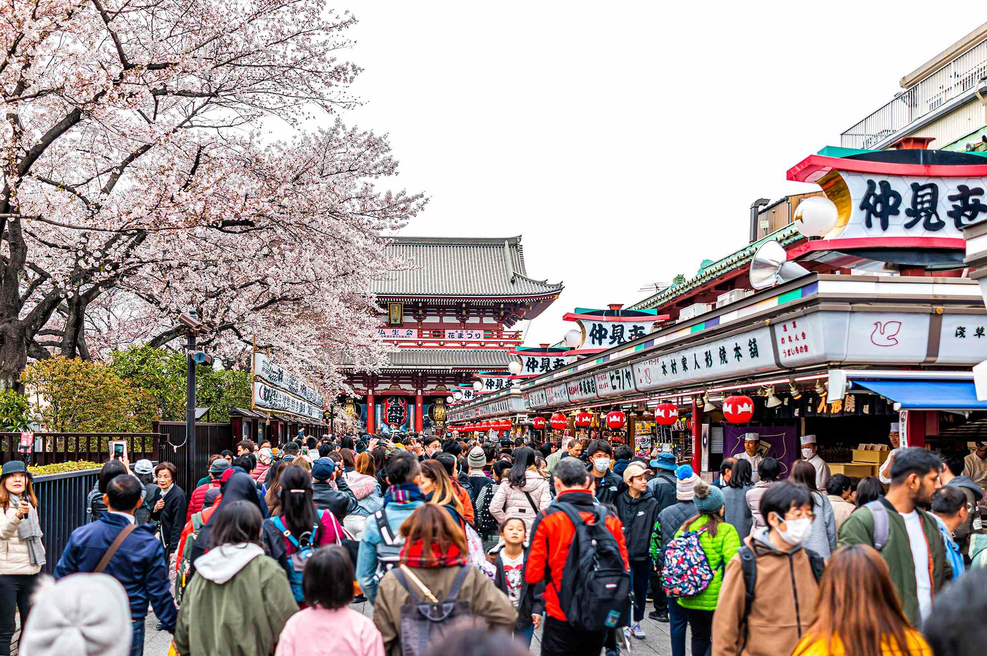 I’ve Lived in Tokyo for Over 20 Years—and This Is the Best Souvenir to Buy in Japan