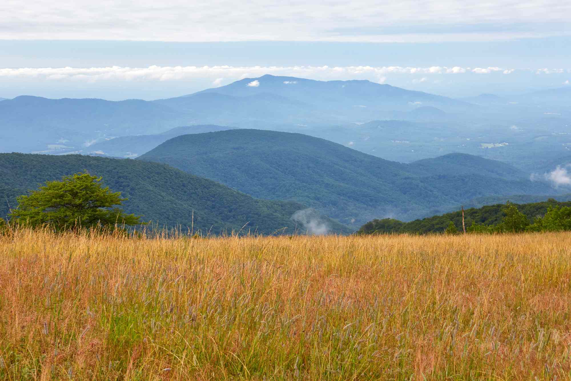 This Small Town in the Blue Ridge Mountains Is an Ideal Fall Getaway With Food Festivals and Stunning Foliage