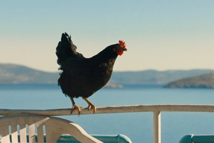 New US Trailer for Chicken Movie ‘Hen’ Following a Bird on the Run