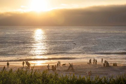 7 Wellness Towns in California for a Serene Lifestyle, With Gorgeous Scenery and Farm-to-table Dining