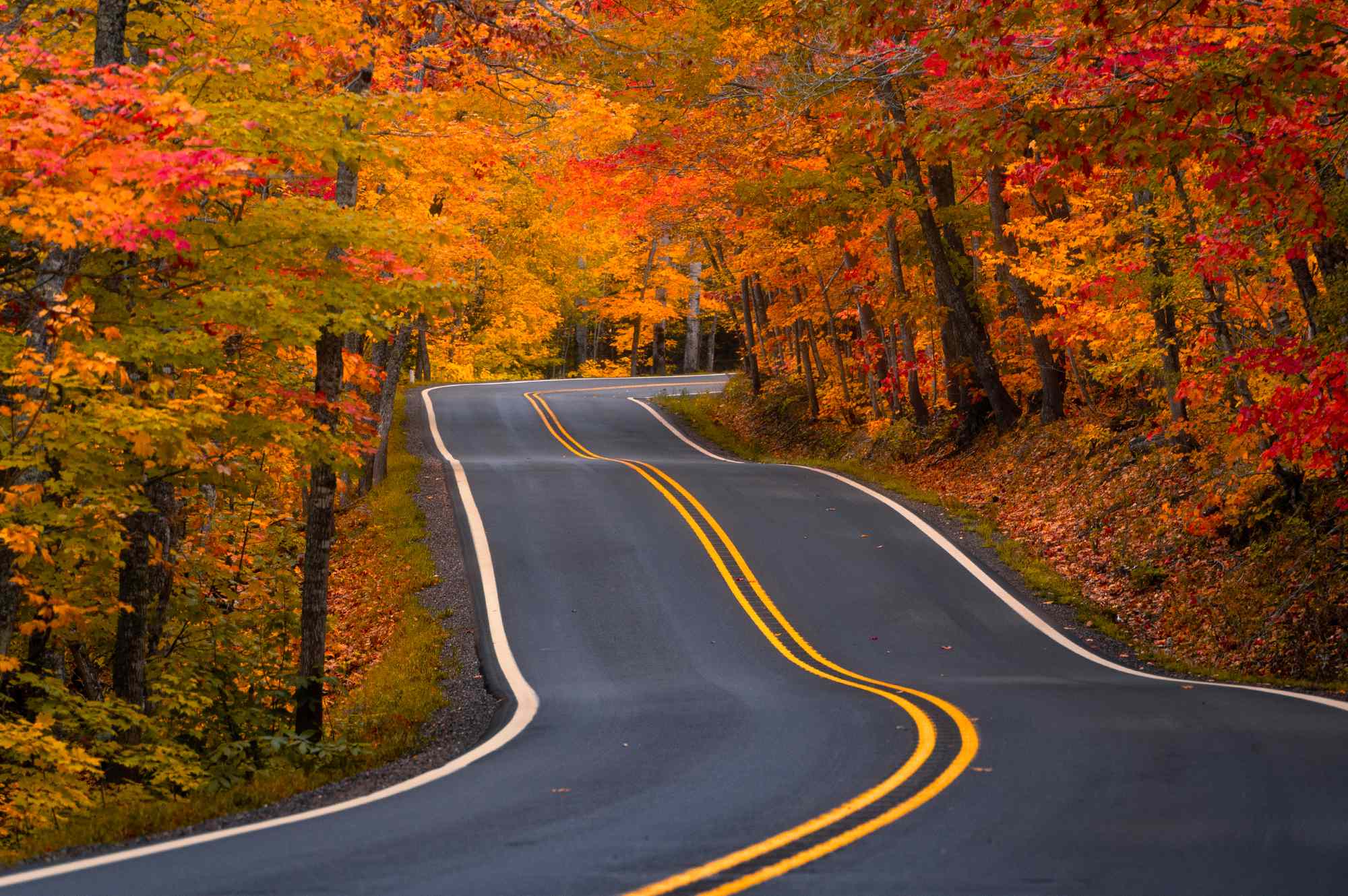 Travel Experts Recommend This State for Spectacular Fall Foliage—and It’s Not in New England