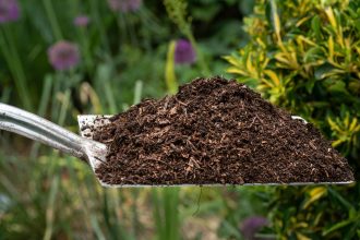What to put in your compost bin – and five things to always leave out