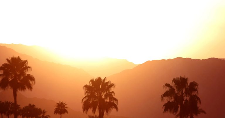 Apple Music to livestream sets from California’s Head Trip Festival