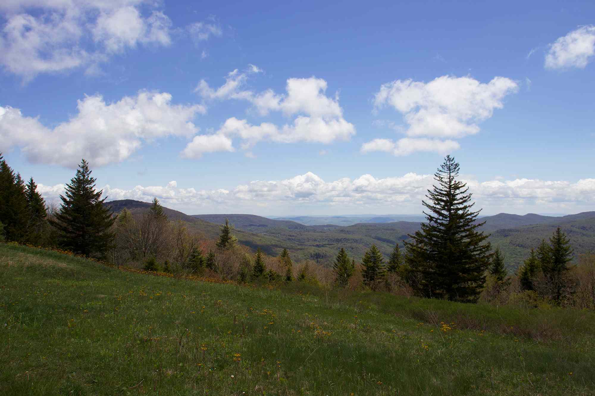 This West Virginia Wilderness Is One of the Most Peaceful Places in the U.S.—and It Has Stunning Fall Foliage