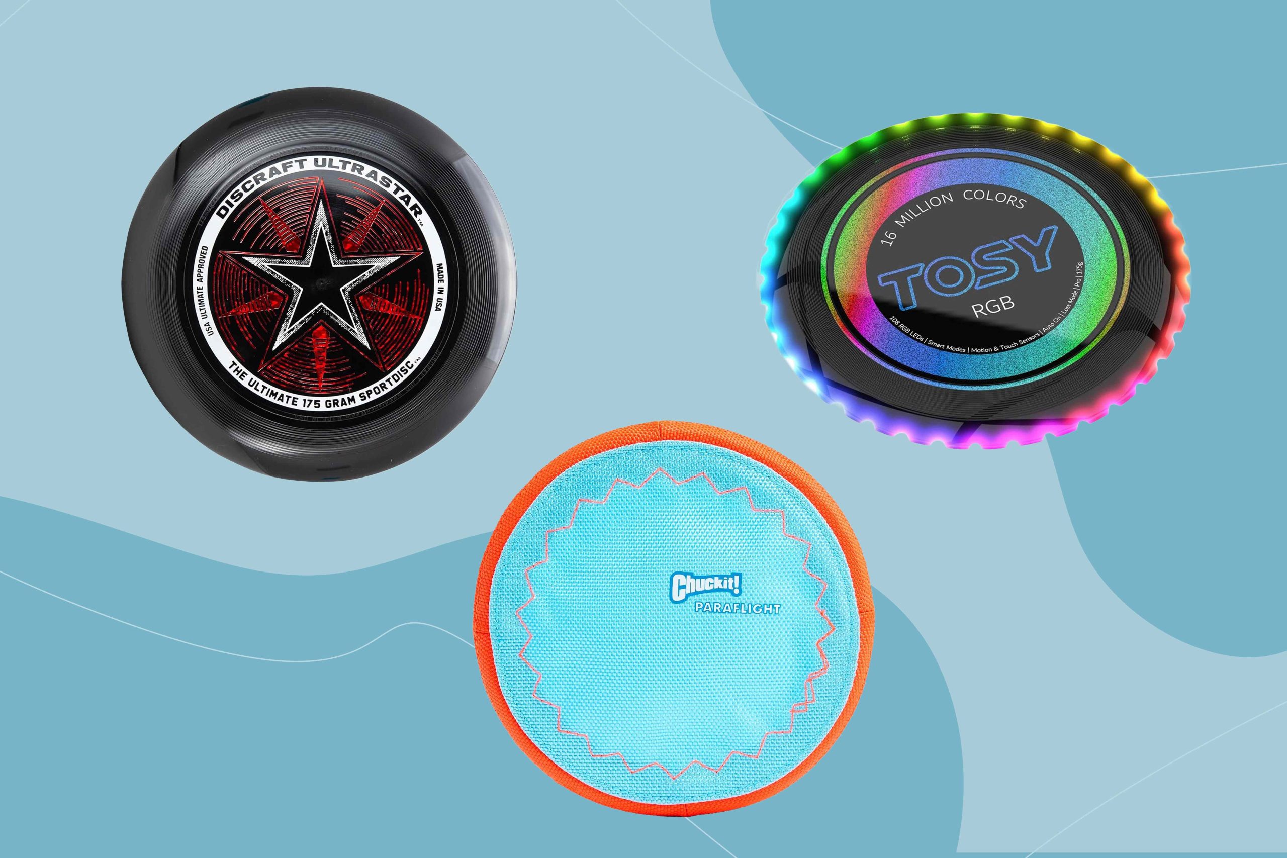 The 11 Best Frisbees of 2026, According to a Five-Time Frisbee World Champion
