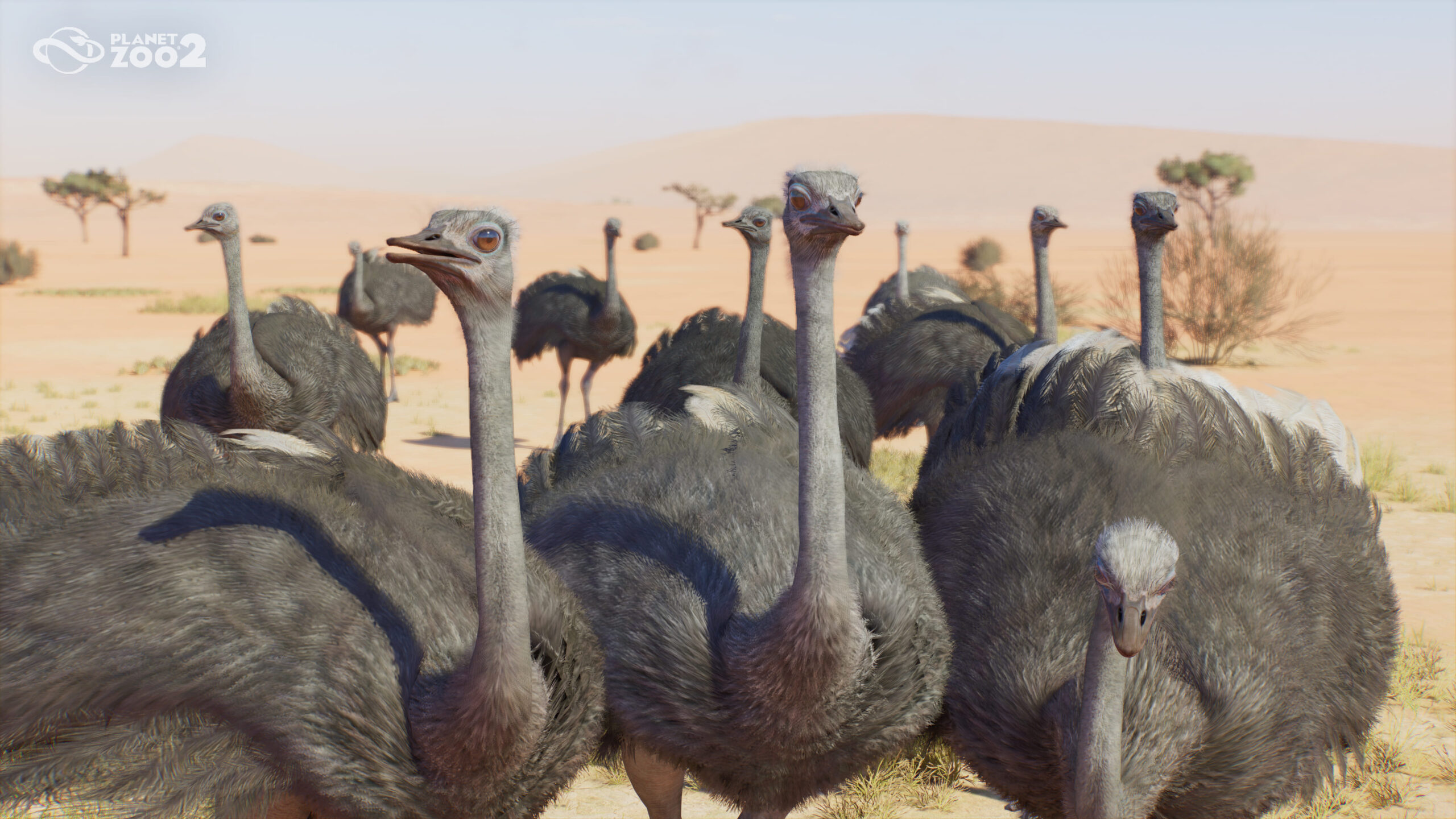Planet Zoo 2 Announces Six New Animals Ahead Of Its October 13 Release