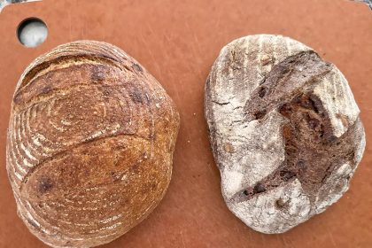 I Tried 7 Loaves from This New Bread Subscription Service, and They Taste Just as Good as Homemade