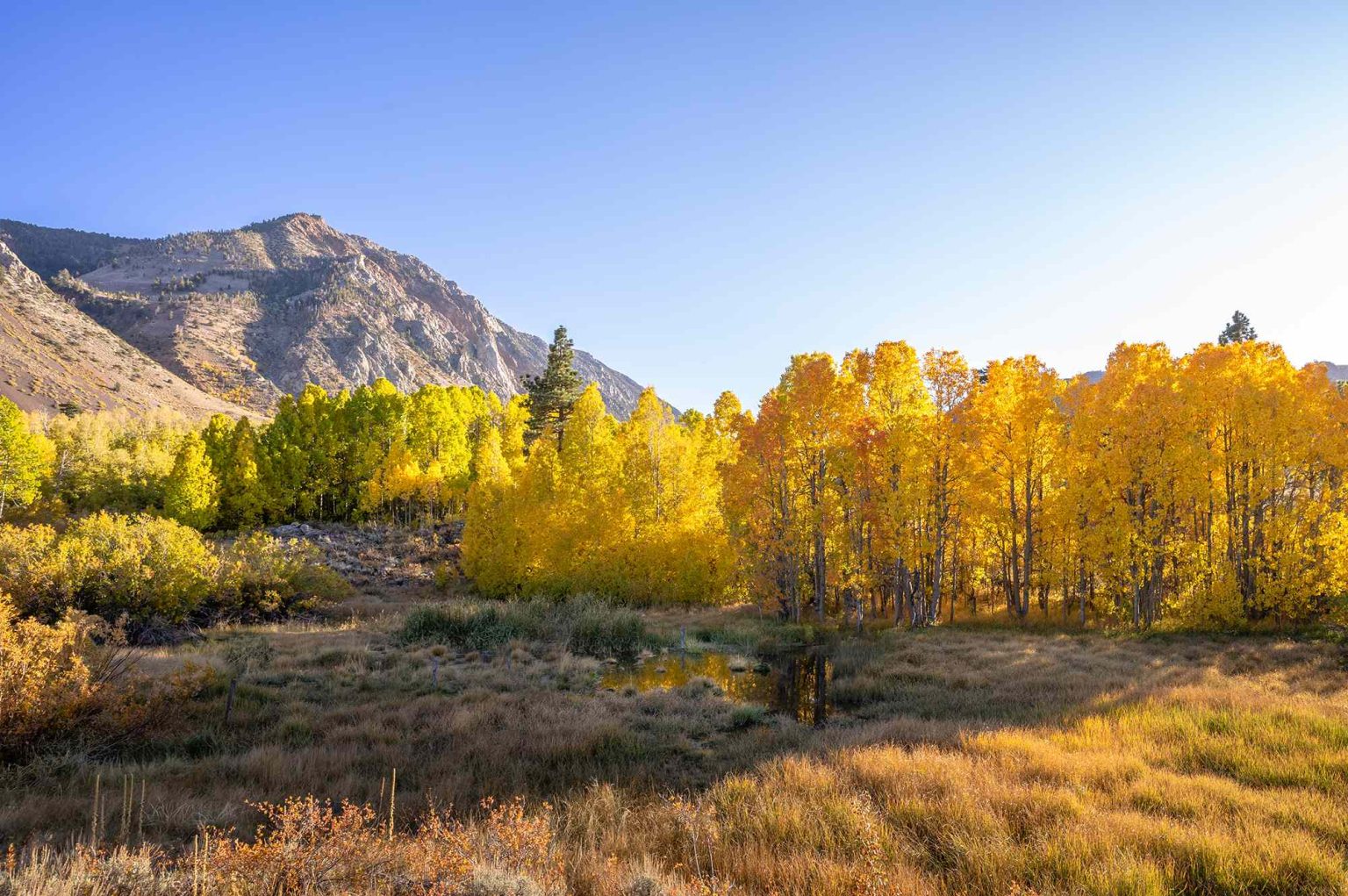 I’m an East-to-West Coast Transplant, and This Mountain Town Is the Best Place to See Fall Foliage in California