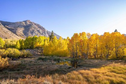 I’m an East-to-West Coast Transplant, and This Mountain Town Is the Best Place to See Fall Foliage in California
