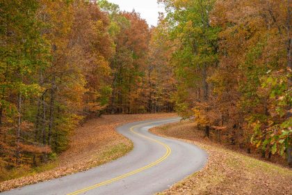 This Historic 444-mile Parkway Showcases Some of the Best Fall Foliage in the South—Without Billboards or Stoplights