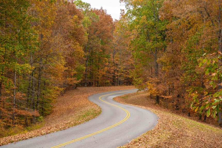 This Historic 444-mile Parkway Showcases Some of the Best Fall Foliage in the South—Without Billboards or Stoplights