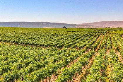 Washington’s Coolest Wine Town Has Over 100 Tasting Rooms—and It’s Just 30 Minutes From Seattle