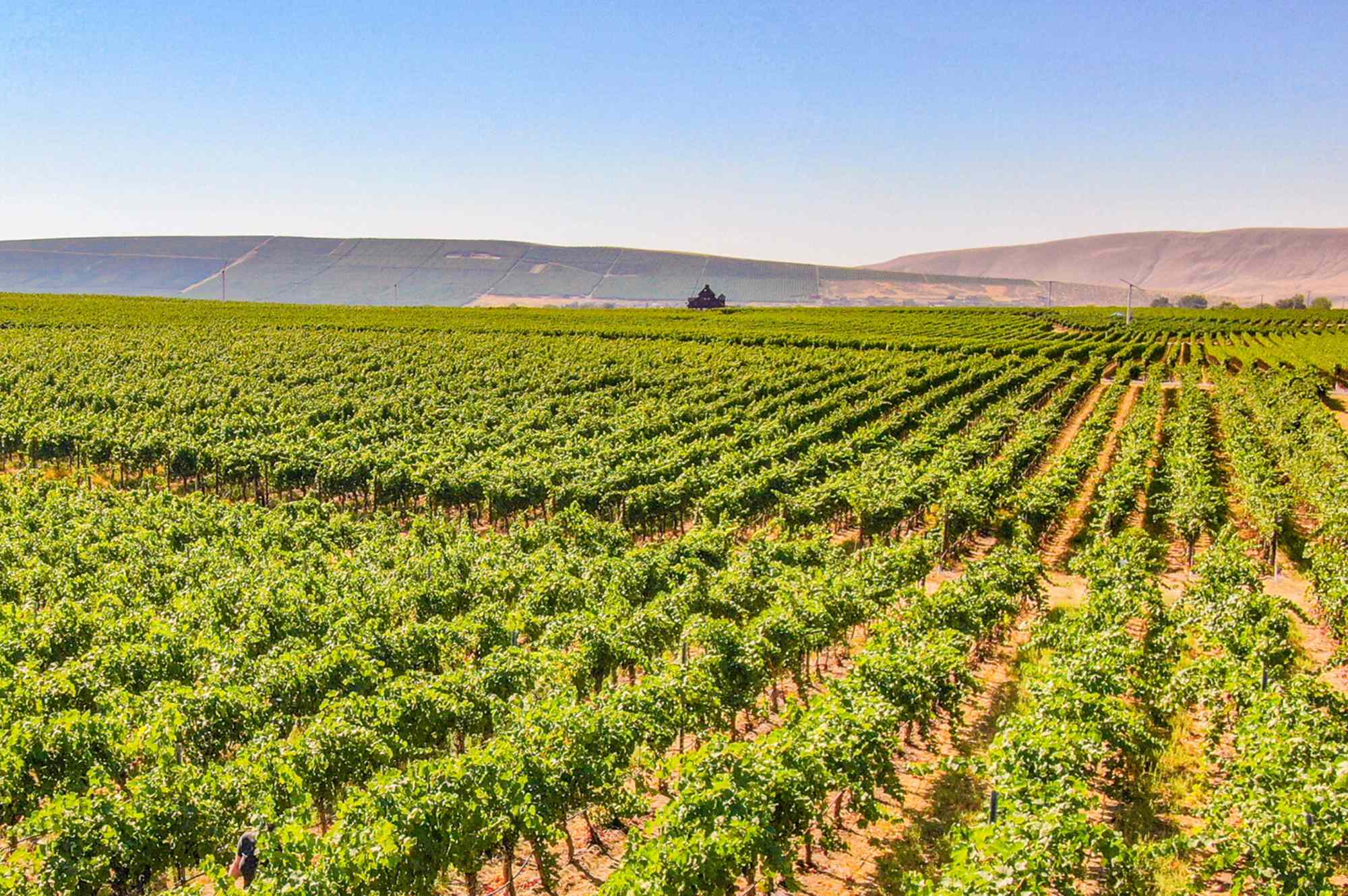 Washington’s Coolest Wine Town Has Over 100 Tasting Rooms—and It’s Just 30 Minutes From Seattle