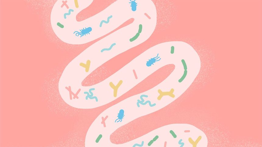 Study May Explain Why People With IBD React to Foods They Once Tolerated