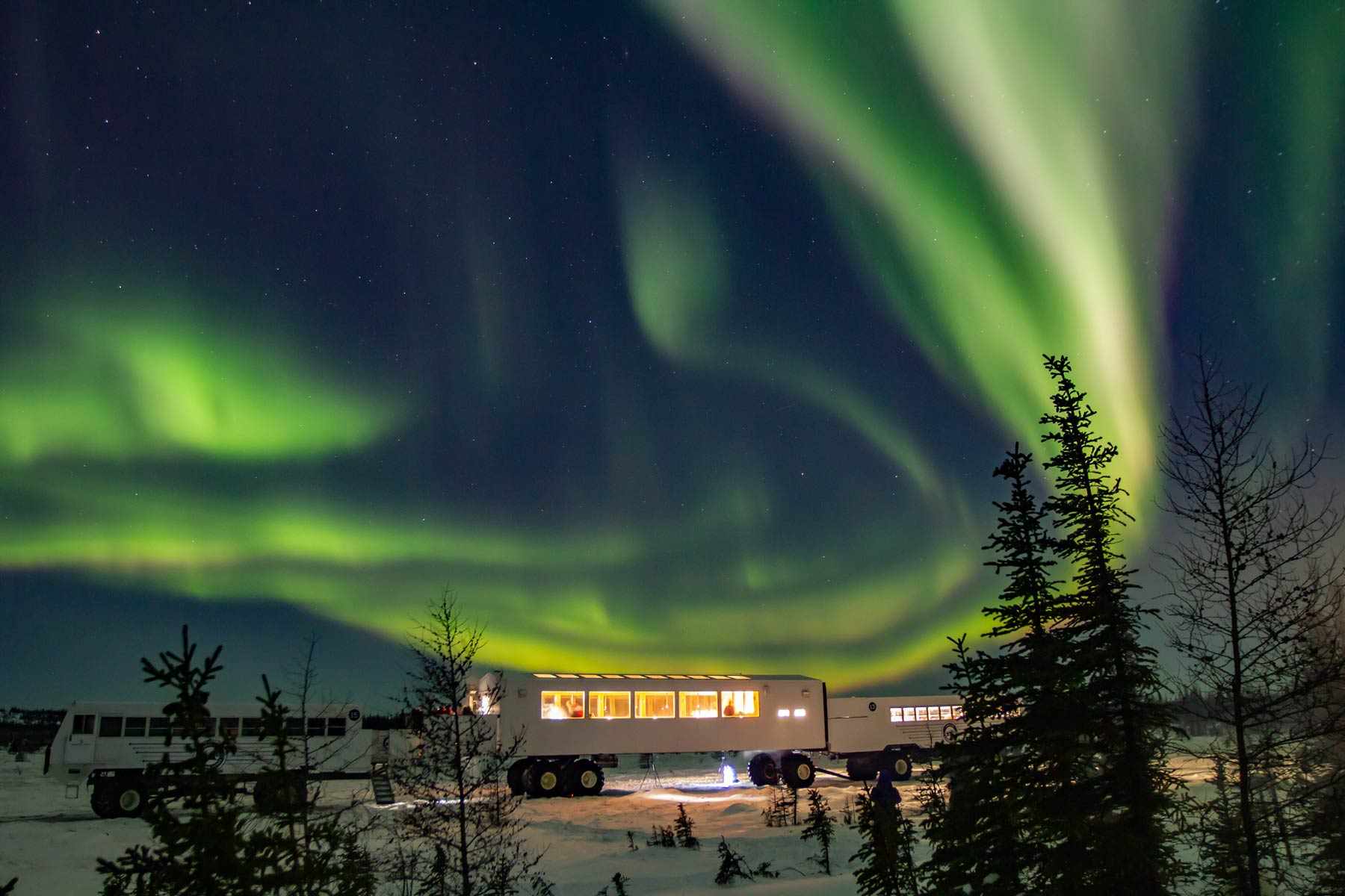 This Remote Canadian Town Is a Prime Spot to See the Northern Lights—Plus Polar Bears and Beluga Whales