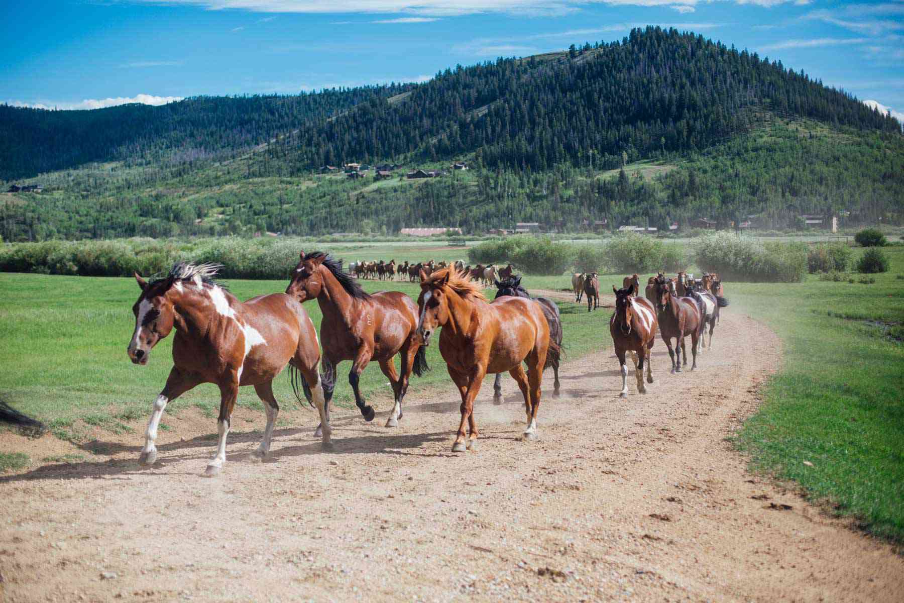 6 Best Dude Ranches in the U.S. for a Memorable Western Getaway