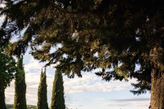 The 25 Best Airbnbs in Italy, From Puglia to the Dolomites