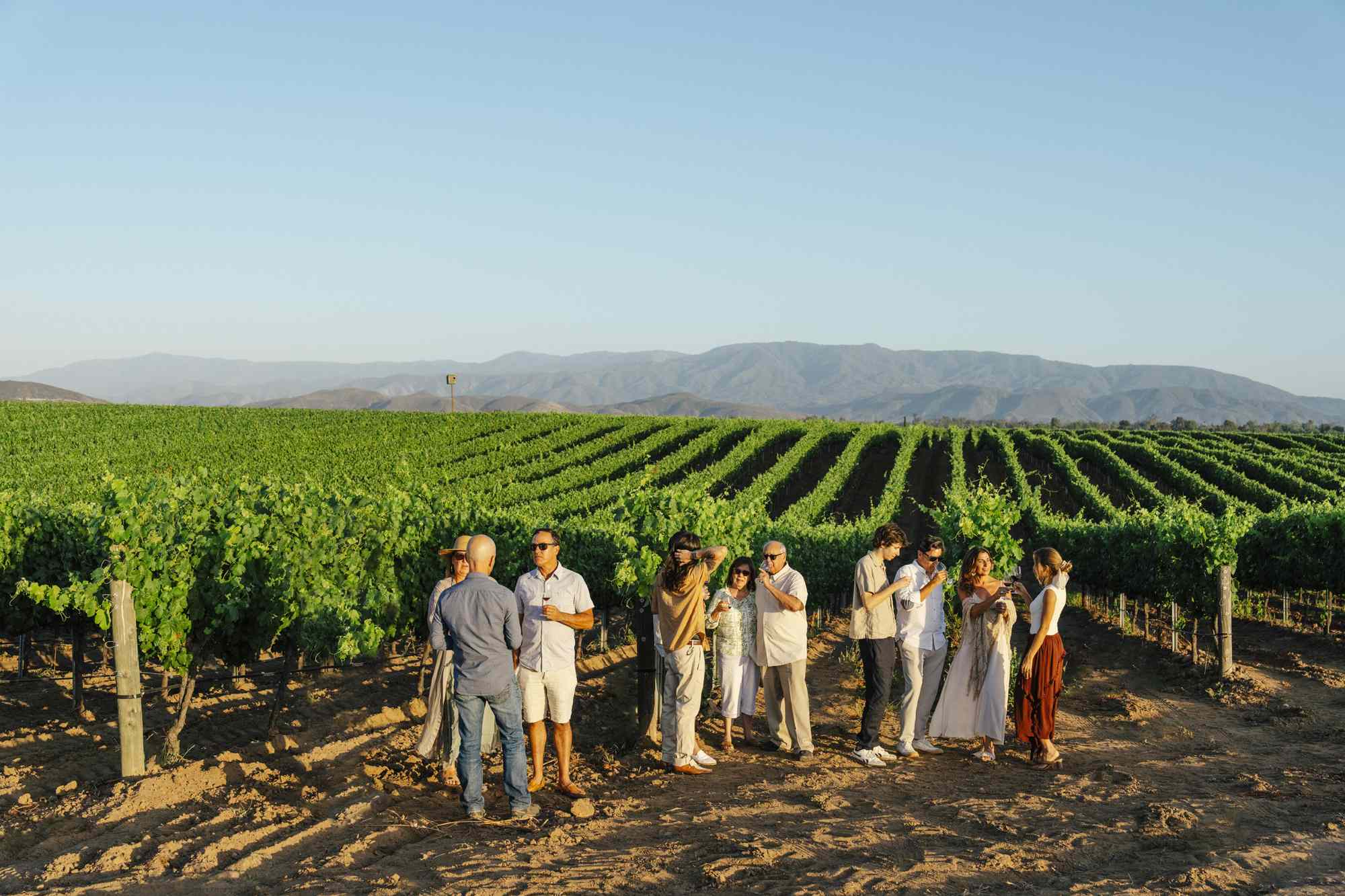 This Southern California Wine Region Is an Affordable Alternative to Napa and Sonoma, With 47 Wineries