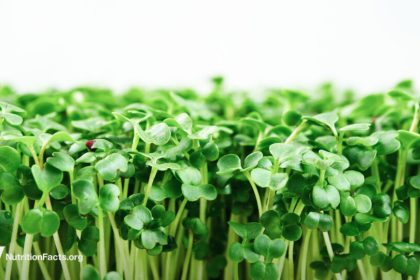 The Best Foods to Fight H. Pylori