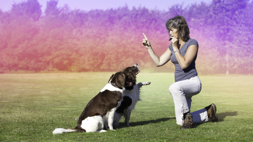 What Dog Trainers Really Think About These 5 Pet Tech Gadgets
