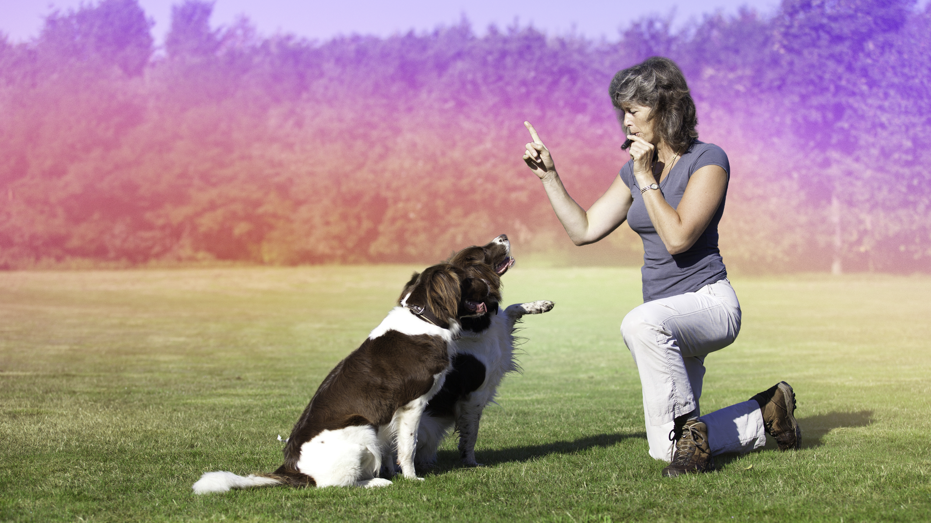 What Dog Trainers Really Think About These 5 Pet Tech Gadgets