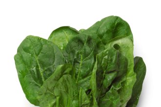 11 Foods To Increase Your Ferritin Levels