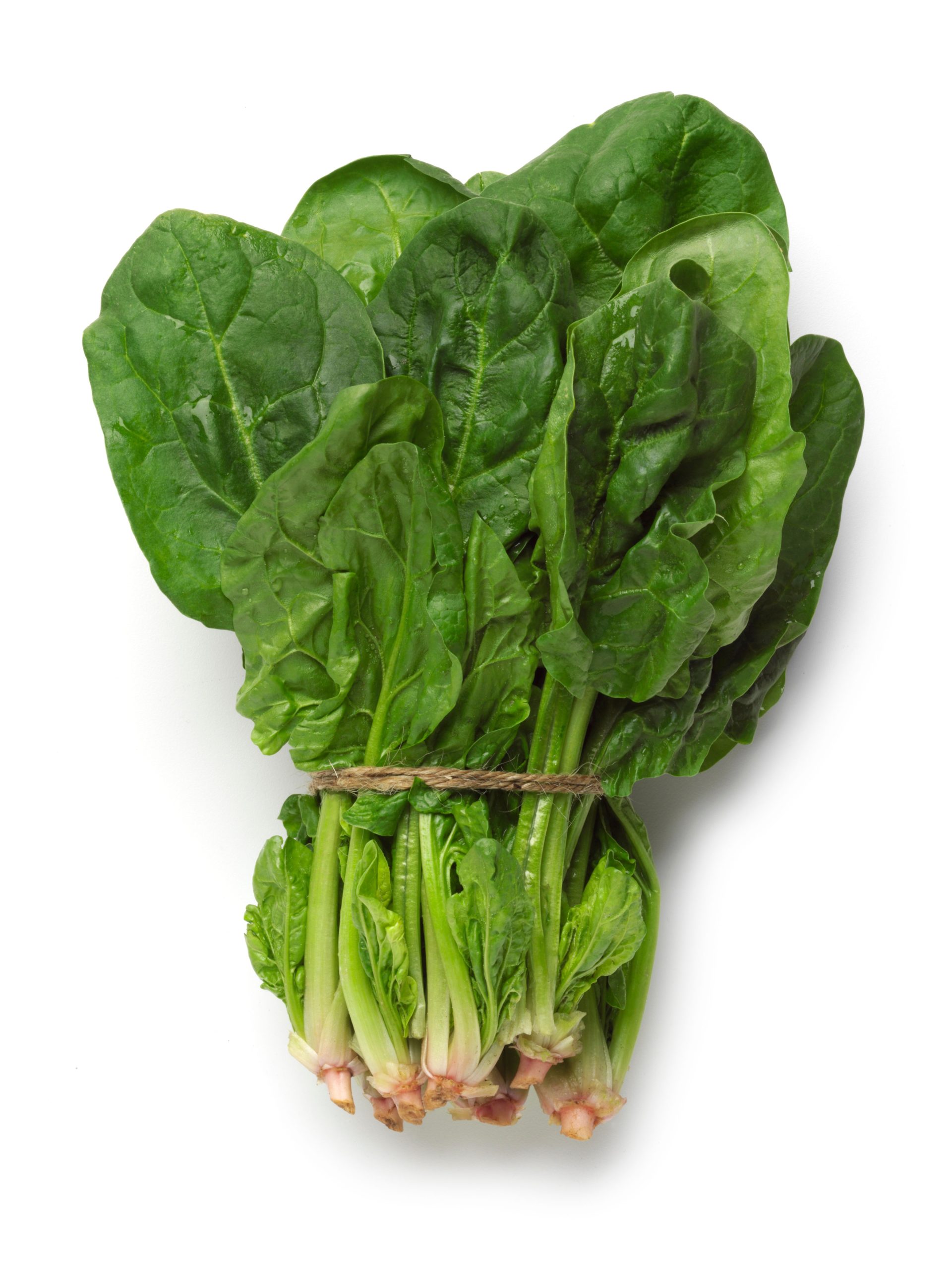 11 Foods To Increase Your Ferritin Levels