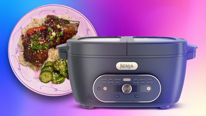 Is the Ninja MultiPot the Kitchen Appliance You Need, or Just the One You Want?
