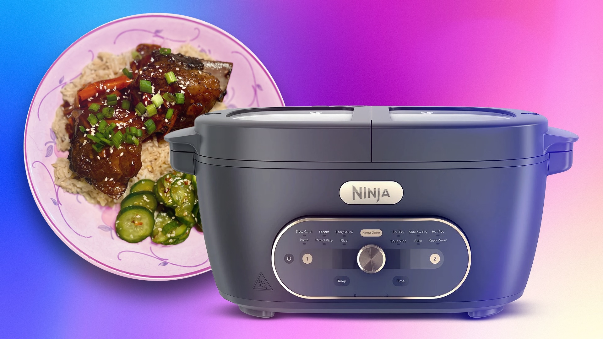 Is the Ninja MultiPot the Kitchen Appliance You Need, or Just the One You Want?