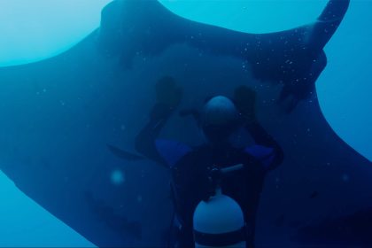 Official Trailer for ‘The Last Dive’ Doc About Befriending a Manta Ray