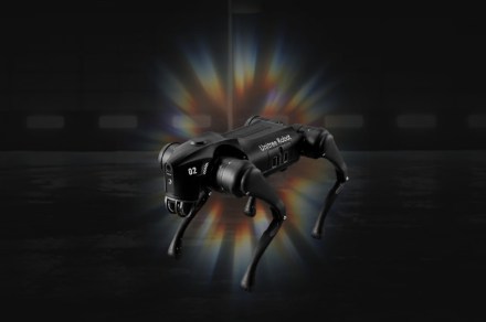 Robot dogs were supposed to help humans. Now humans are being asked to babysit them