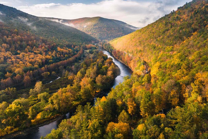 Discover the ‘Pennsylvania Grand Canyon,’ a 47-mile-long Gorge With Breathtaking Scenery in the Northeast