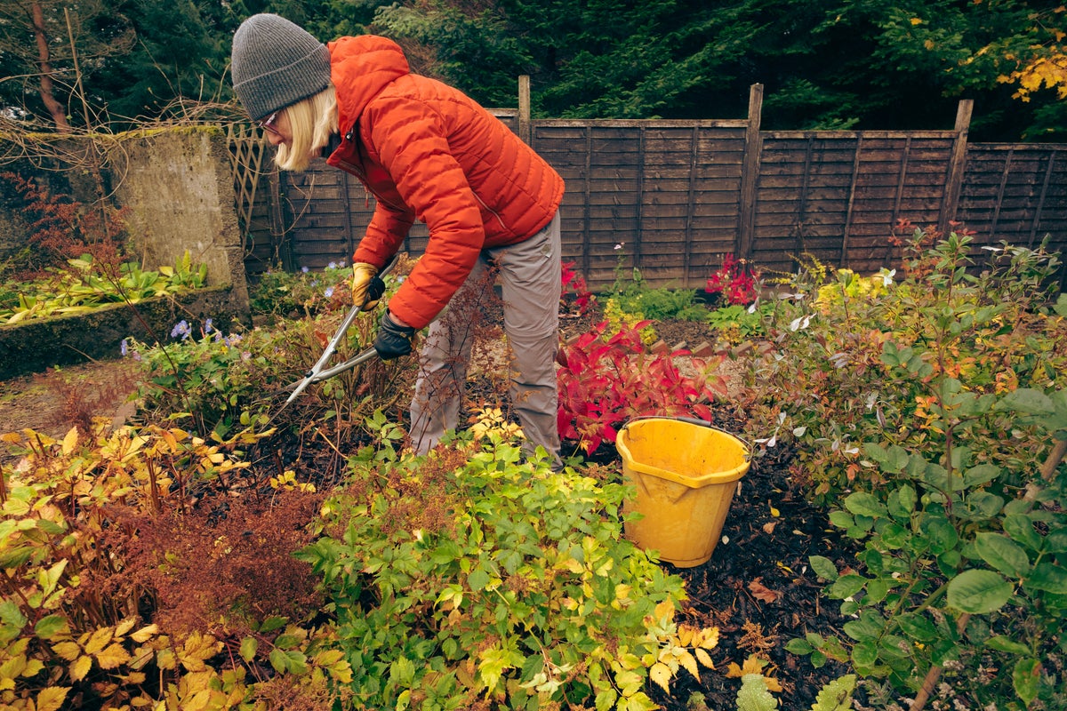 Winter garden transformation: 9 essential jobs to do before Christmas