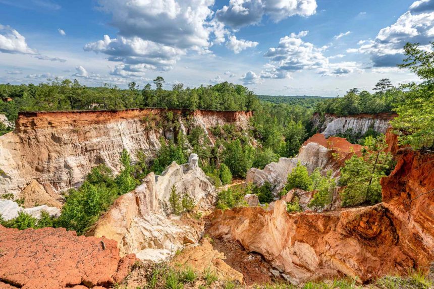 Georgia’s ‘Little Grand Canyon’ Is the Result of Human-caused Erosion—but It Has Scenic Trails Above 150-foot Drops