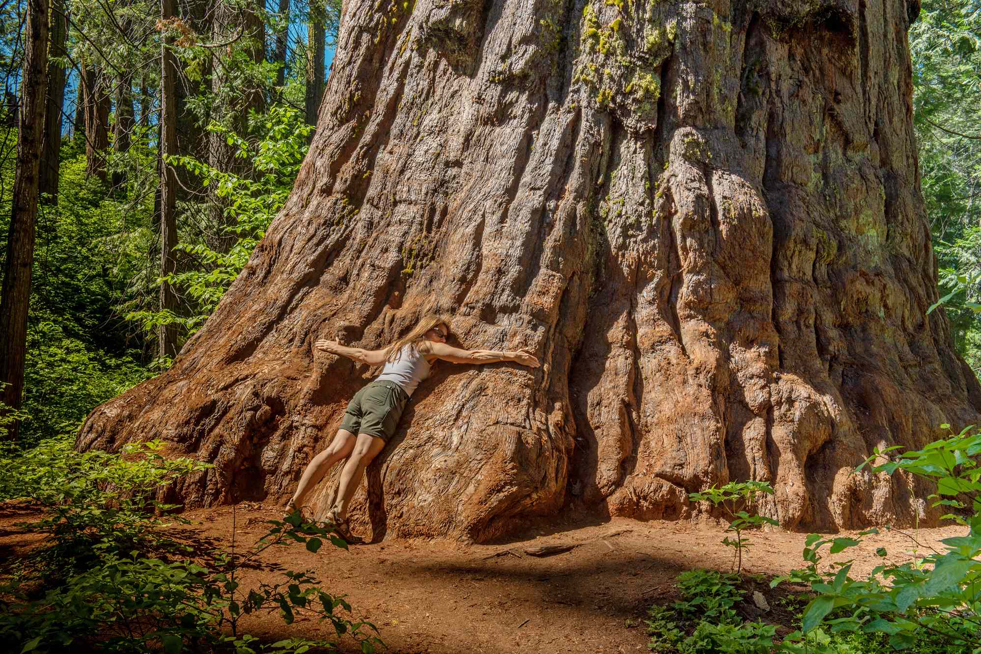 This California State Park Is a Less-crowded Alternative to Yosemite, With Giant Sequoias and Scenic Trails