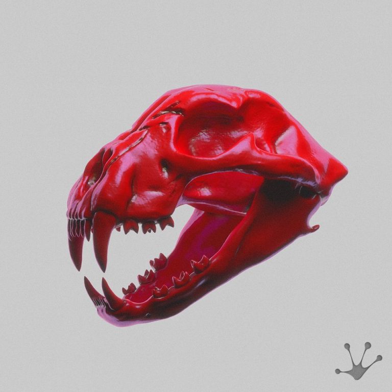 Funk Tribu Drops New Single ‘Voodoo’ on His Label TRIBE