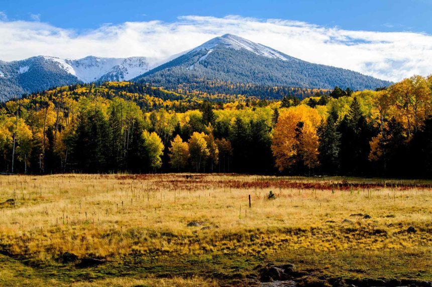 10 U.S. Destinations Where Peak Fall Foliage Lasts Into November